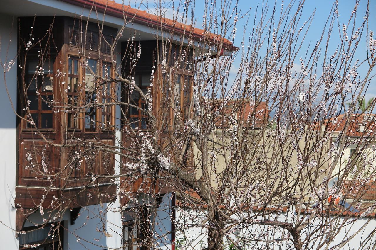 Ephesus Paradise Selçuk Exterior photo