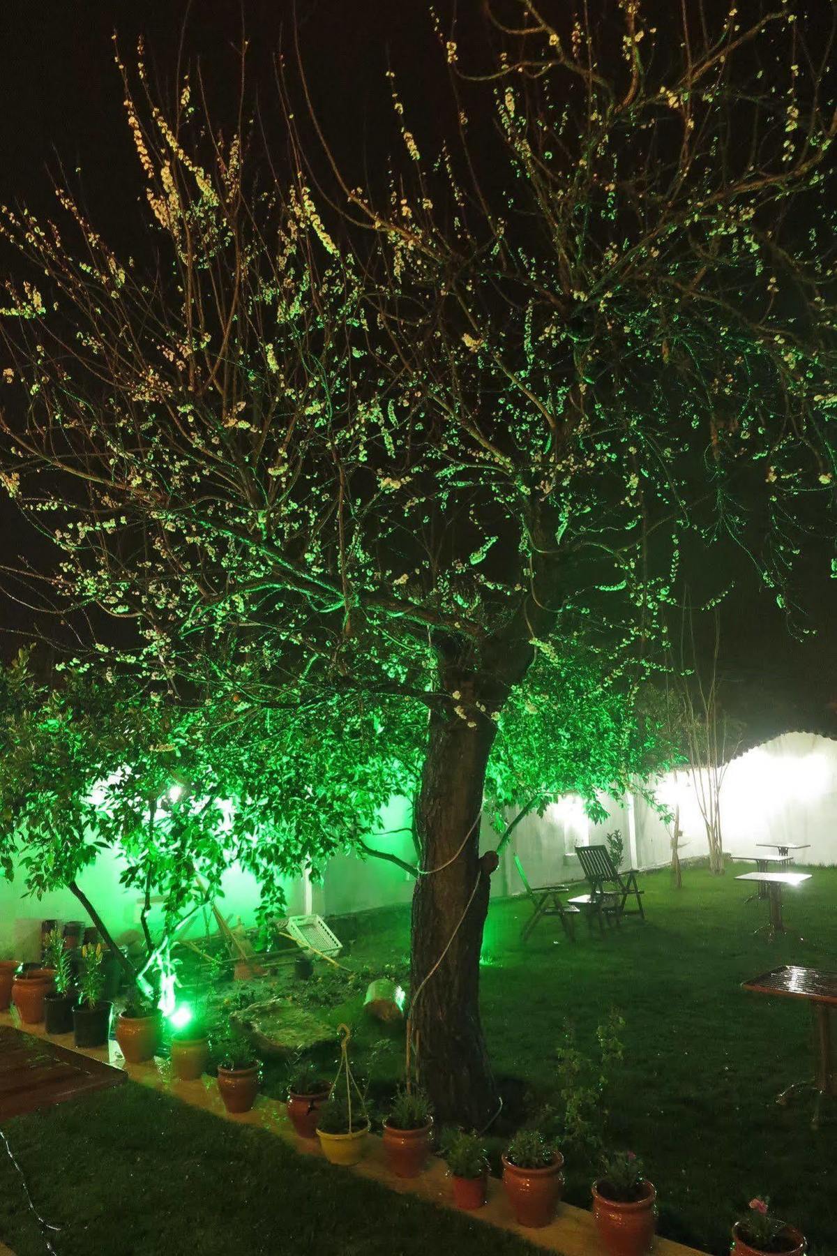 Ephesus Paradise Selçuk Exterior photo