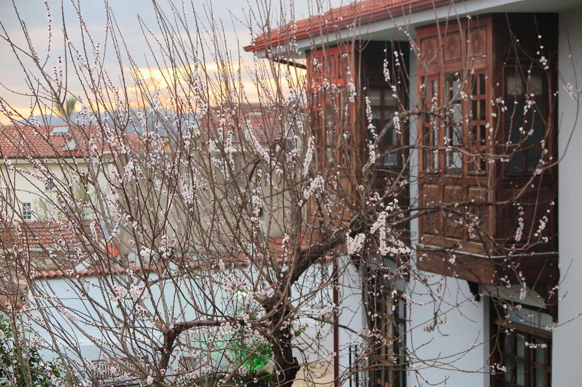 Ephesus Paradise Selçuk Exterior photo