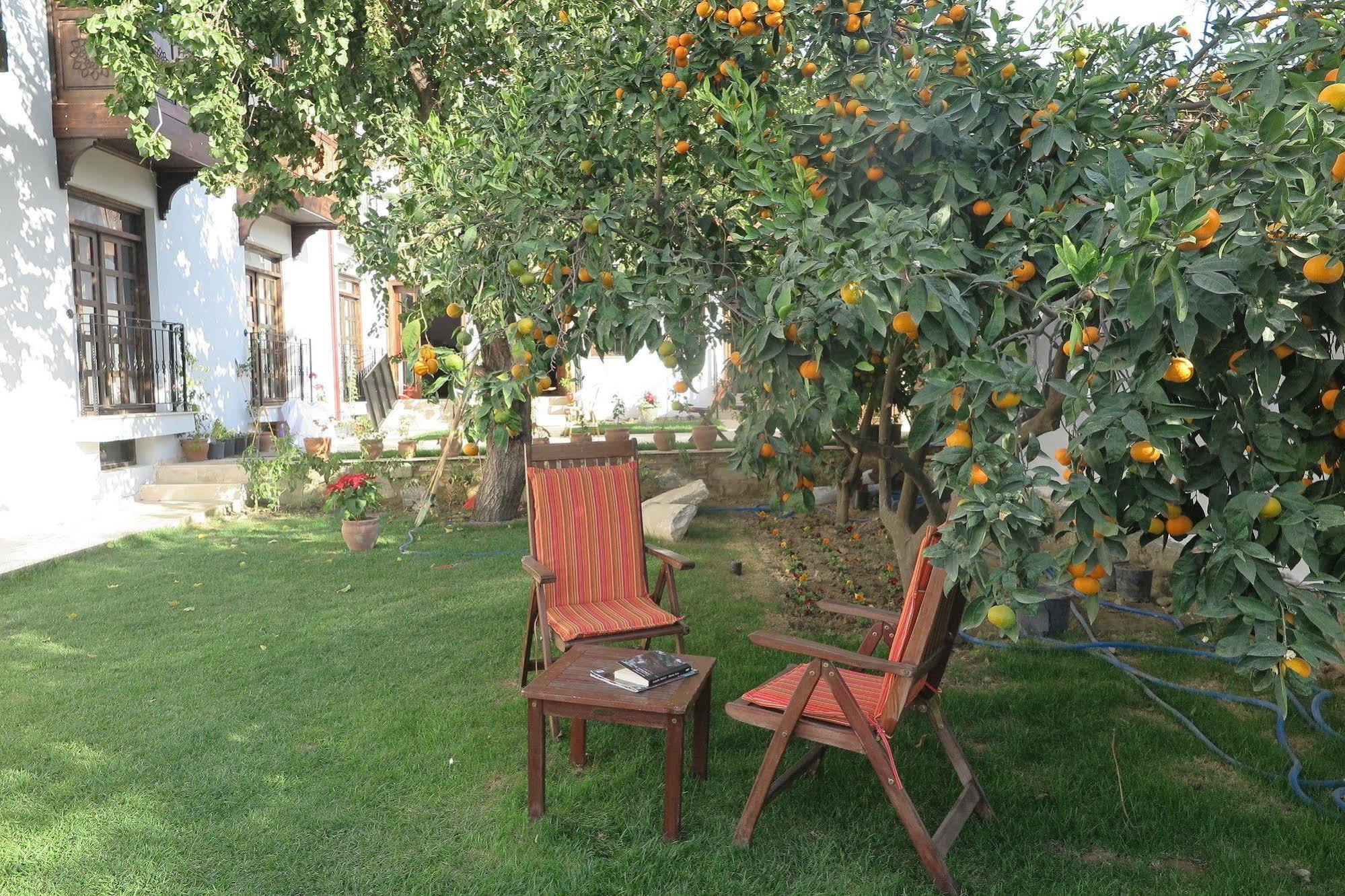 Ephesus Paradise Selçuk Exterior photo